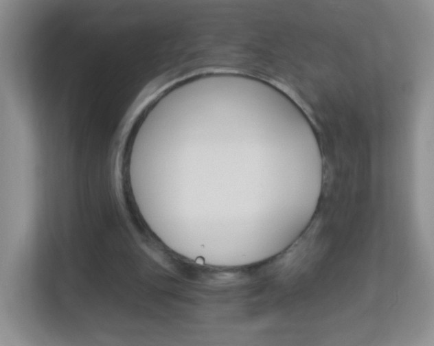 X0000113880151200909241033