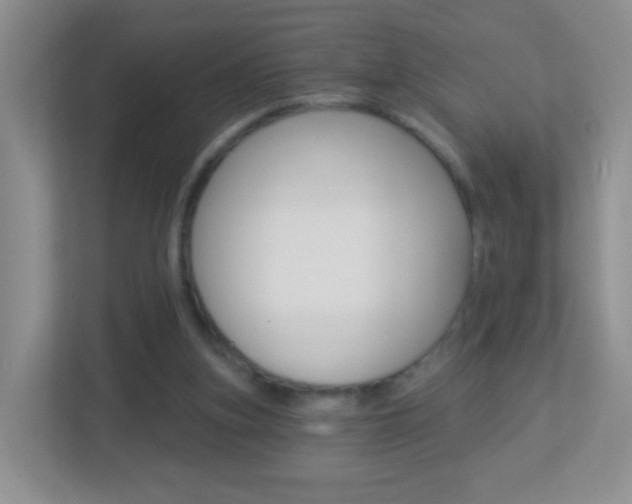 X0000113880155200909241033