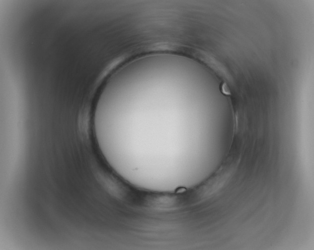 X0000113880156200909241033