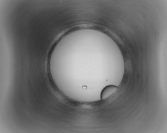 X0000113880159200909241034