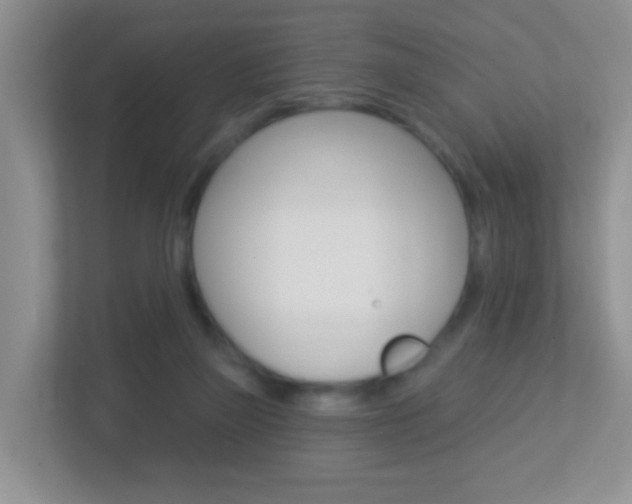 X0000113880165200909241034