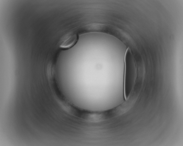 X0000113880168200909241034