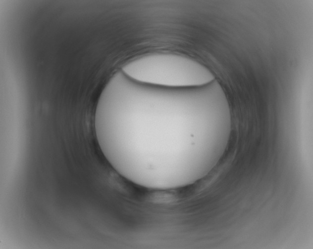 X0000113880169200909241034