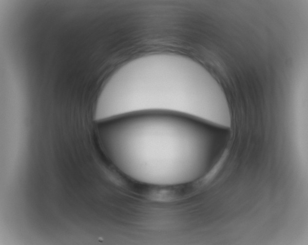 X0000113880174200909241034