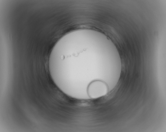 X0000113880175200909241034