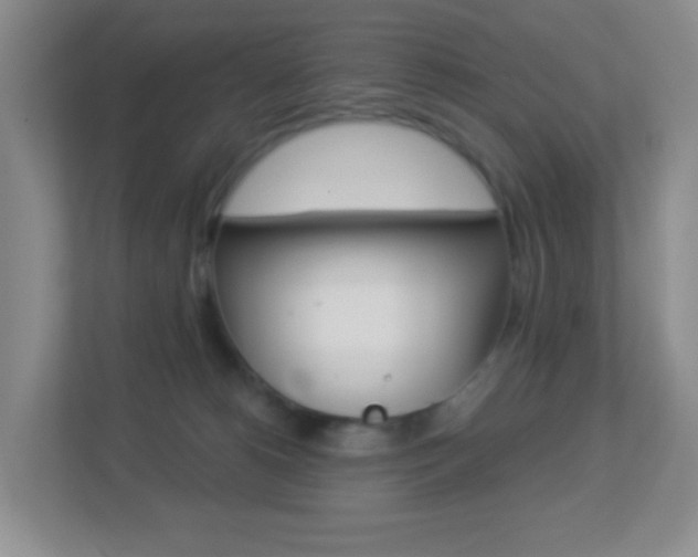 X0000113880180200909241034