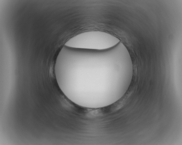 X0000113880185200909241034