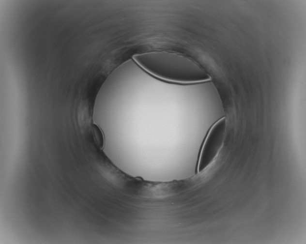 X0000113880186200909241034