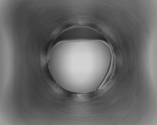 X0000113880188200909241034