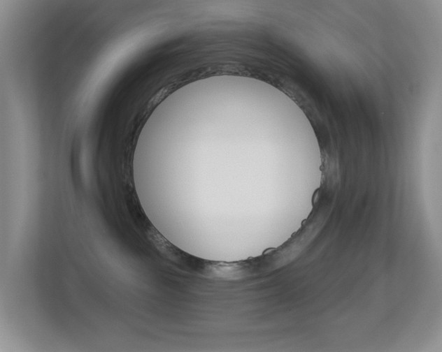 X0000113880189200909241034