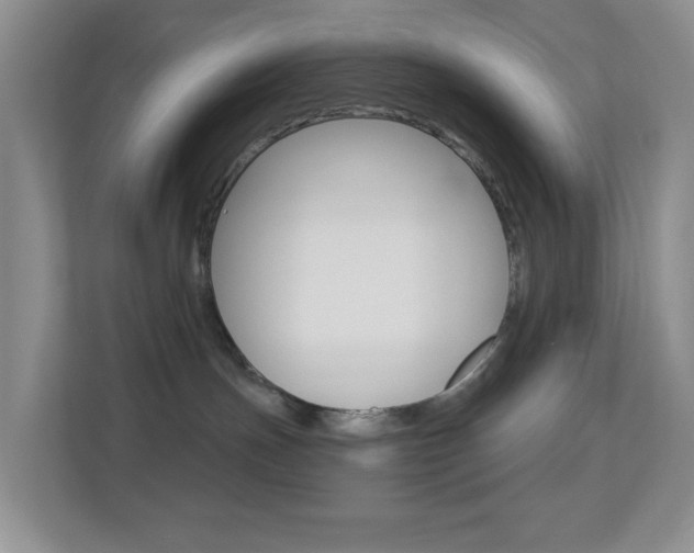 X0000113880191200909241034
