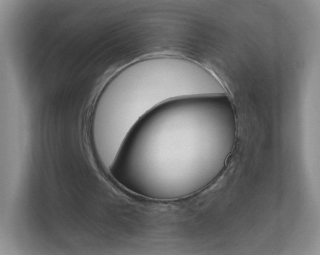 X0000113880193200909241033