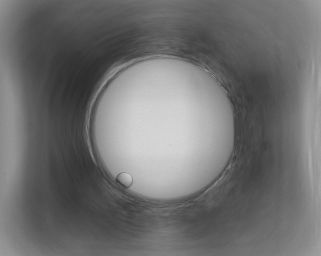 X0000113880195200909241033
