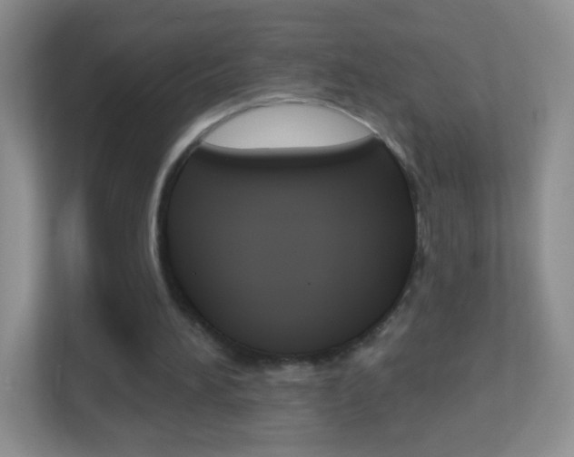 X0000113880196200909241033