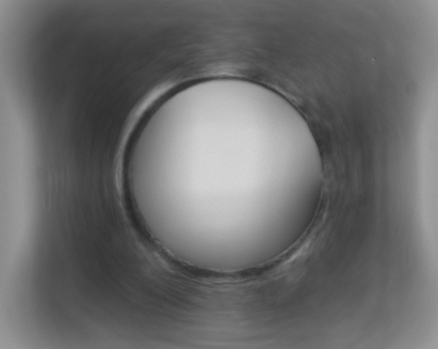 X0000113880200200909241033