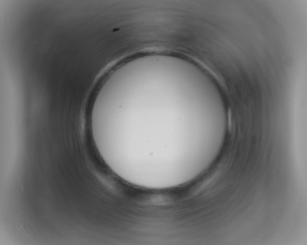 X0000113880204200909241033