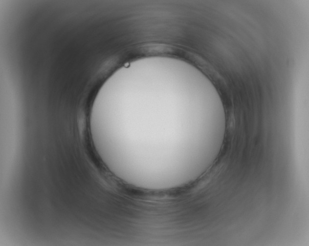 X0000113880206200909241033