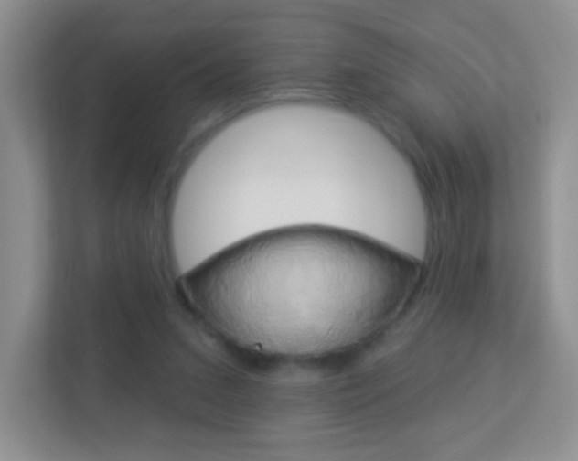 X0000113880207200909241033