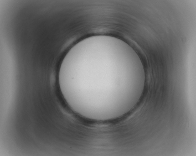 X0000113880208200909241033