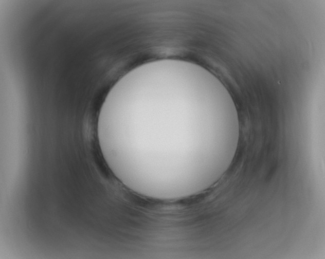 X0000113880210200909241033