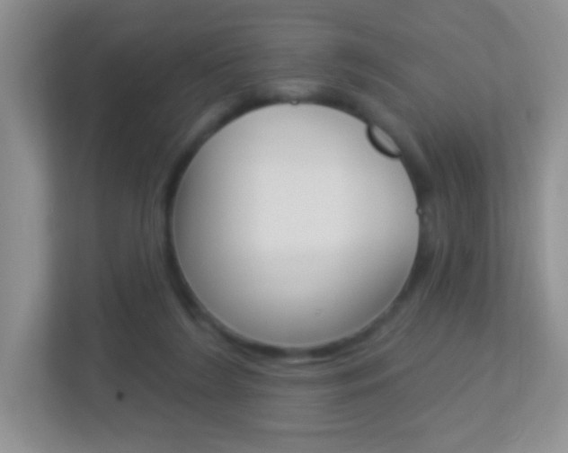 X0000113880212200909241033