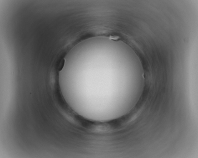 X0000113880215200909241033