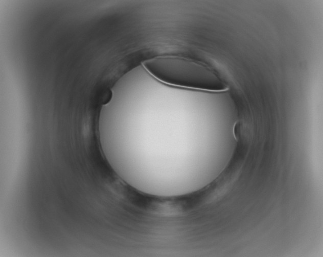 X0000113880221200909241033