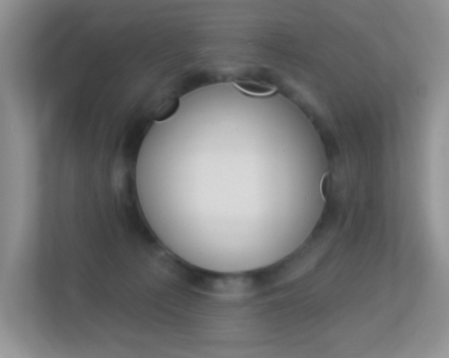 X0000113880225200909241033