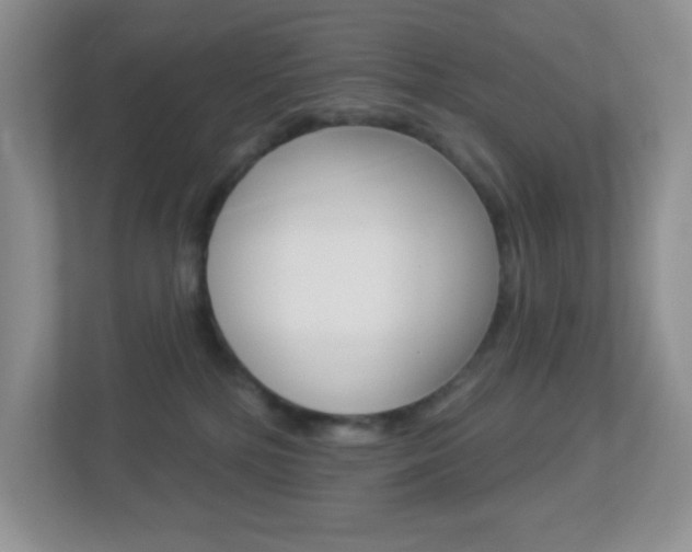 X0000113880232200909241033