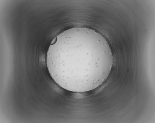 X0000113880238200909241033