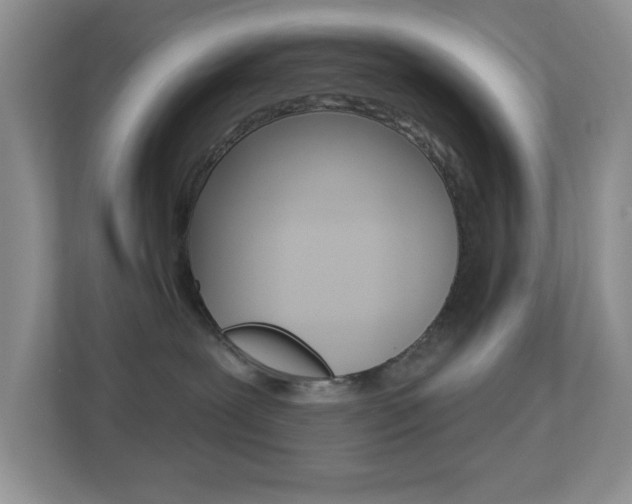 X0000113880239200909241033