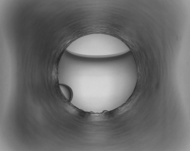 X0000113880240200909241033