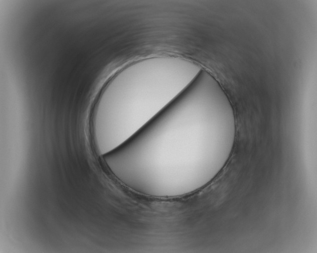 X0000113880242200909241032