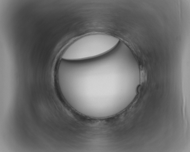 X0000113880243200909241032