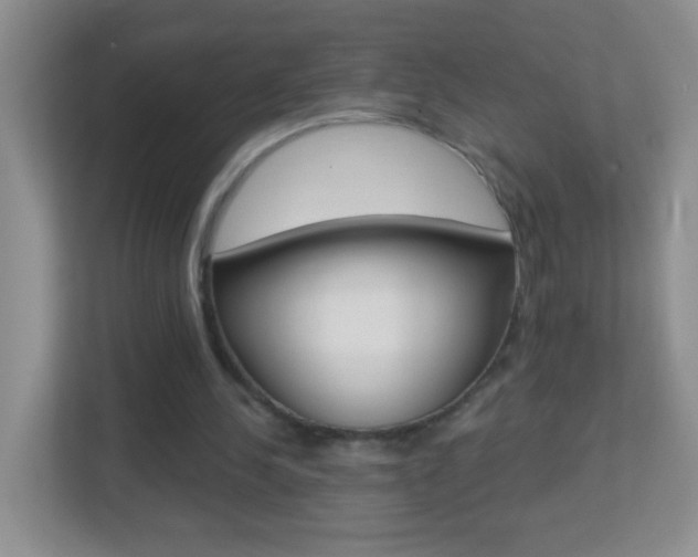 X0000113880244200909241032
