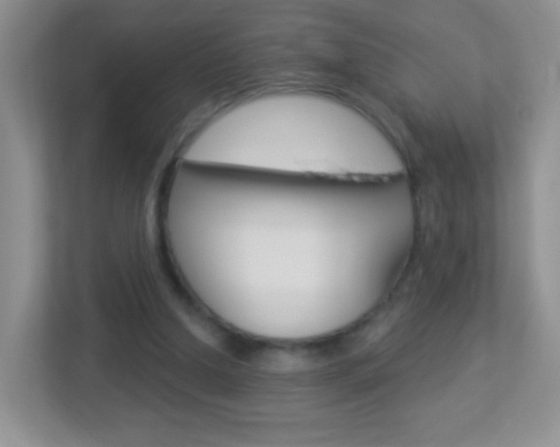 X0000113880250200909241032