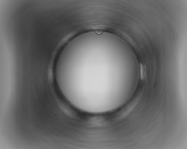 X0000113880252200909241032