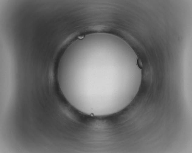 X0000113880256200909241032