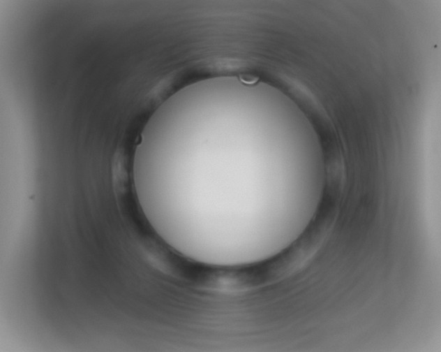 X0000113880264200909241032