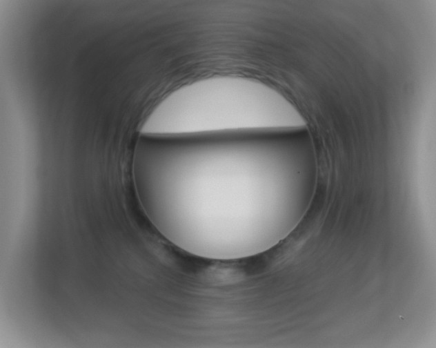 X0000113880280200909241033