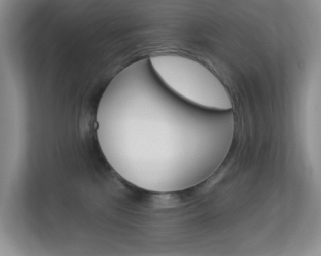 X0000113880281200909241033