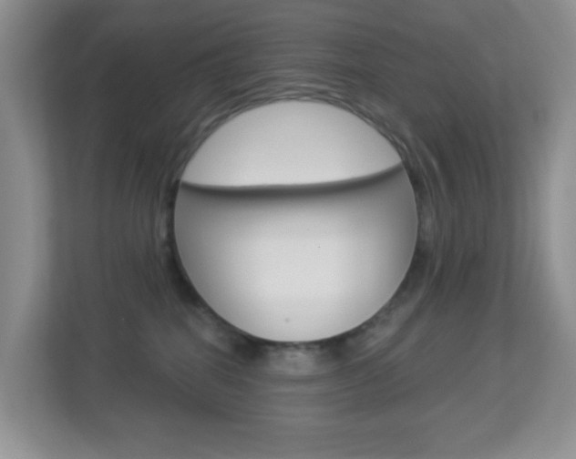 X0000113880282200909241033