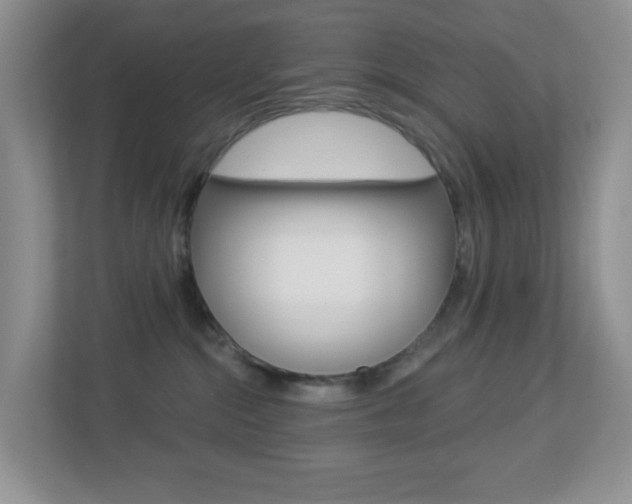 X0000113880284200909241033