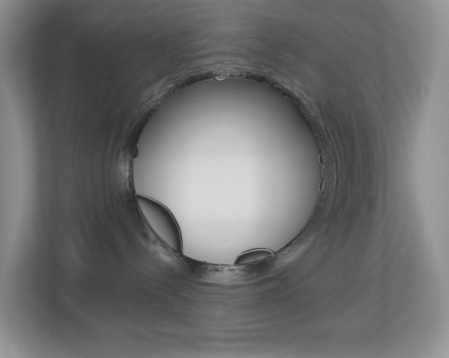 X0000113880288200909241033
