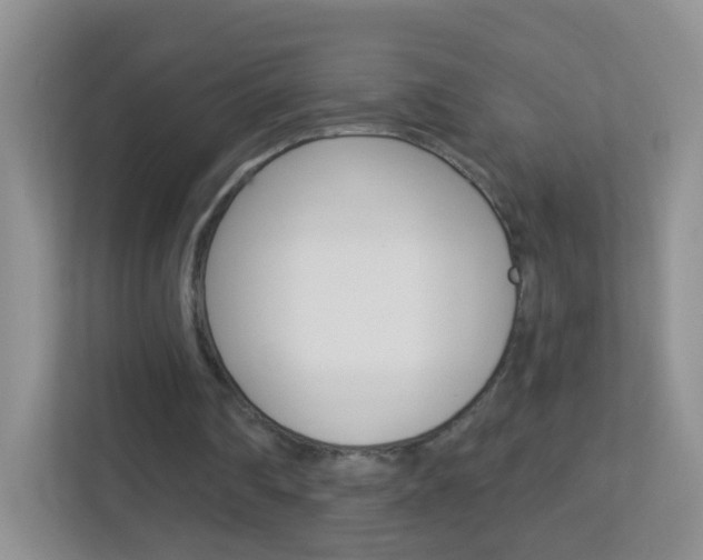 X0000113880290200909241032