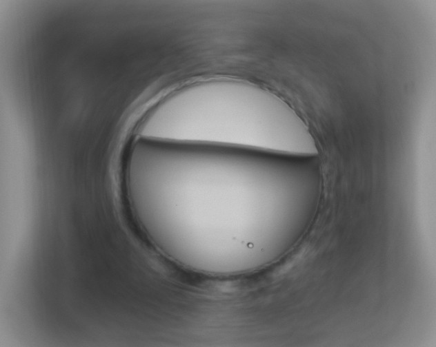 X0000113880295200909241032