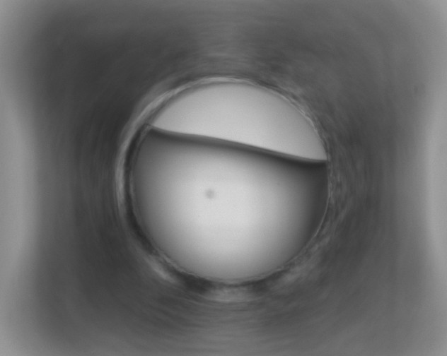 X0000113880296200909241032