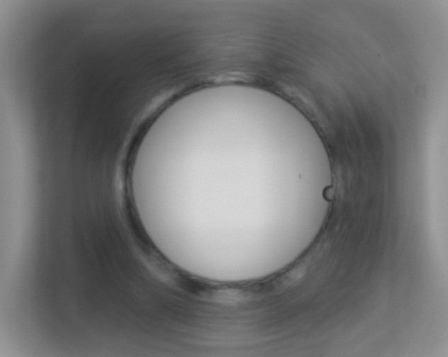X0000113880298200909241032
