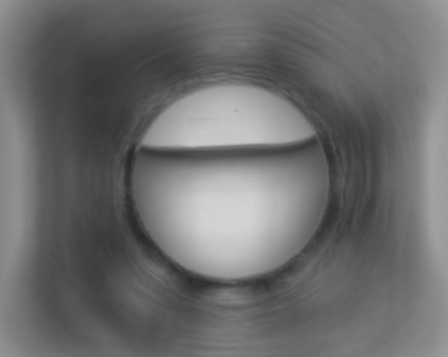 X0000113880303200909241032
