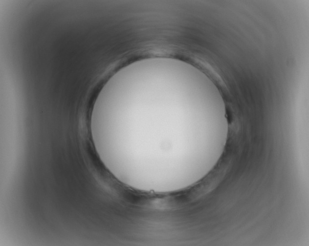 X0000113880306200909241032